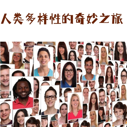 欧美亚洲性爱在线看，探索性爱文化的多元魅力