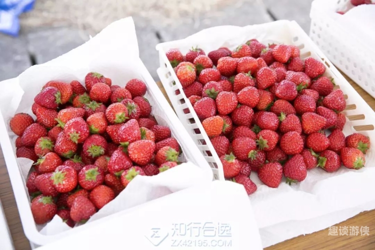 两个 一个扇贝水蜜桃湘潭天气网湘潭天气网，探索扇贝与水蜜桃的美食之旅