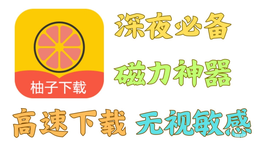 磁力搜索神器探索网络世界的宝藏，磁力搜索神器全解析
