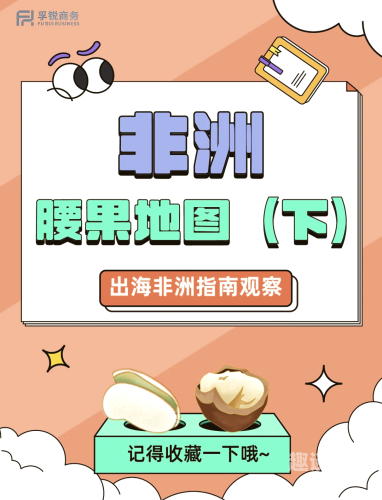 探索天堂久久久之旅的奥秘与魅力