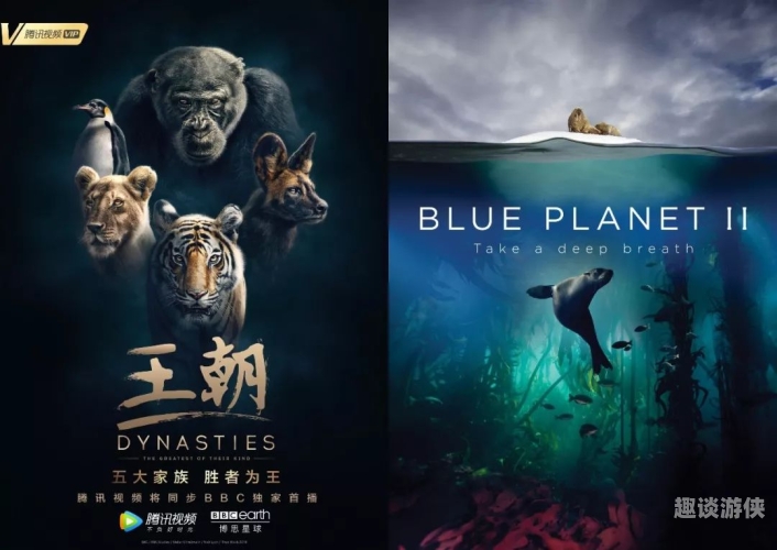 国产一级视频免费，探索中国影视产业的免费资源宝库一 国产片