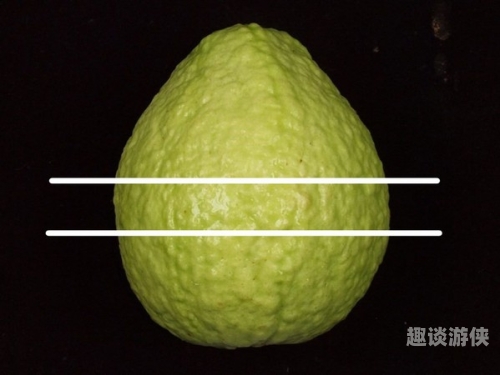 第2330页