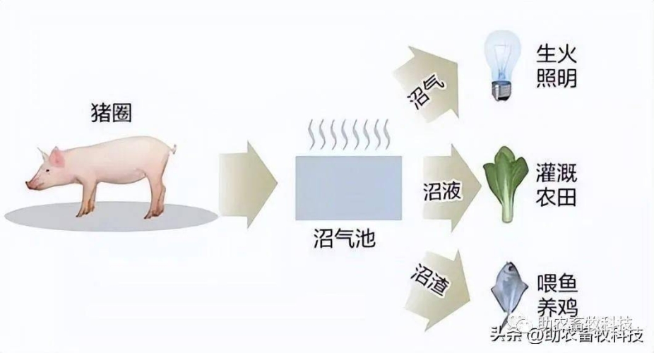 种子资源地址大揭秘，安全获取与高效使用全攻略种子资源地址都是怎么生成的