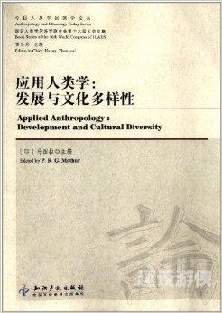 在线平台文化多样性探索，亚洲与欧美专区二区的特色与魅力对比