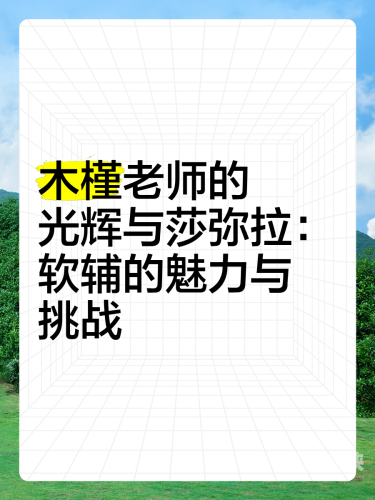 中文版中文版的魅力与挑战