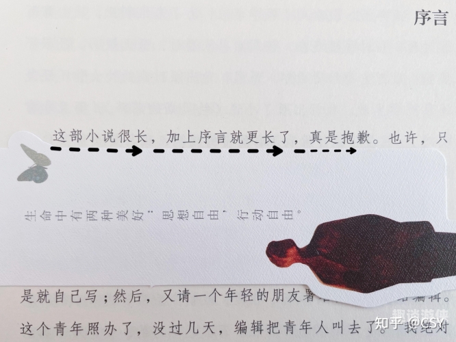 一、引言