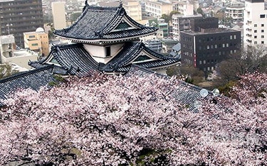 欧美日本道，领略多元文化的影视魅力之旅欧美日本道中文高清大图