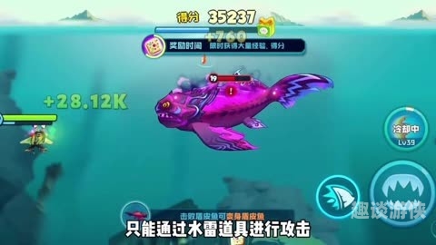 大鱼吃小鱼单机游戏重温经典，大鱼吃小鱼单机游戏