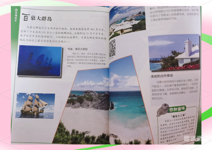 海底大猎杀，探秘全球最神秘的海底捕猎现象