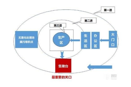 欧美影视分区探秘，一区与二区的独特魅力与文化内涵