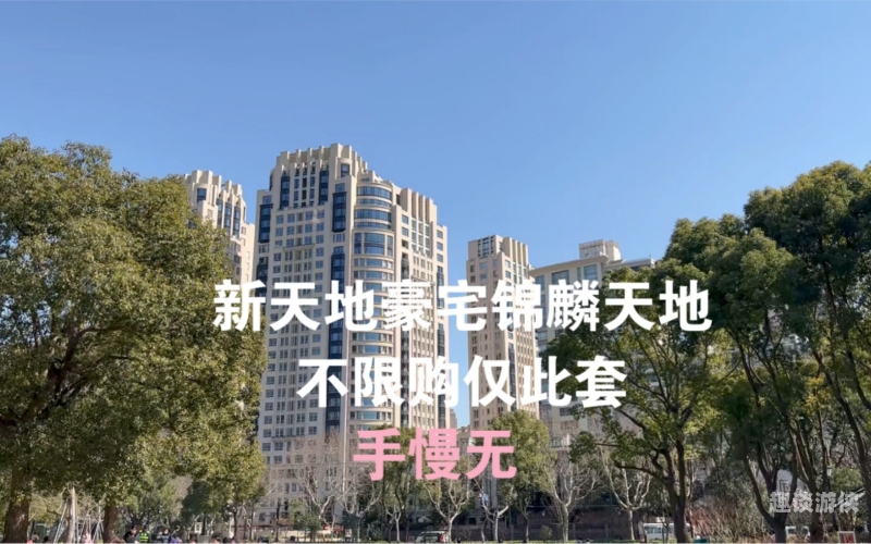 亚洲精品视频网，探索高质量视频内容的新天地