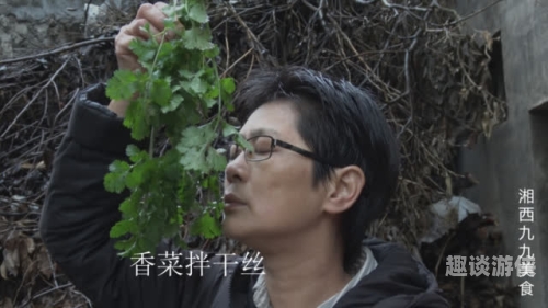 九九精品视频在线观看，引领视频新潮流蜗牛影视在线观看免费完整版