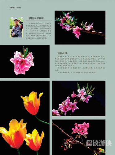 精品栏目深度解析，不断涌现的久久精品
