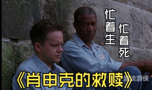 在线看片，精彩纷呈的中文字幕故事