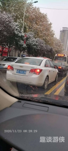 2020无码在线观看，探索网络视频新纪元