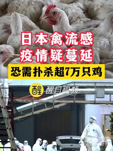 在线视欧美亚洲日本，全球新闻资讯的最新动态欧美亚在线(北京)国际教育