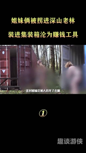 免费在线观看h片，揭秘影视新世界
