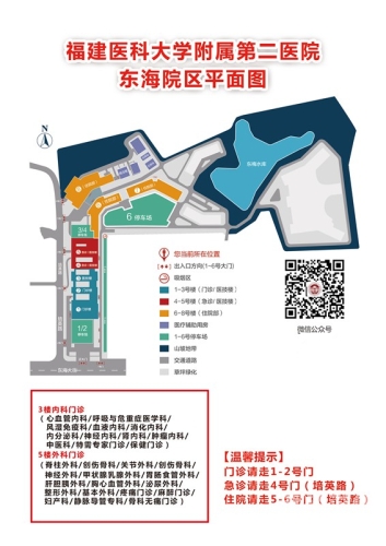 一区二区三区精品AⅤ专区，新闻资讯网站特色区域介绍