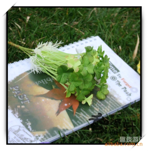 超碰久草青草娱乐，探索娱乐产业的多元魅力