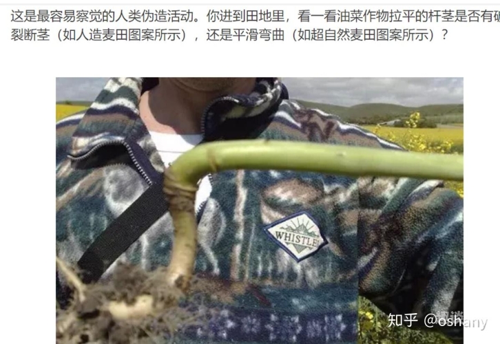 揭秘亚洲神秘事件，无码他人妻的背后真相