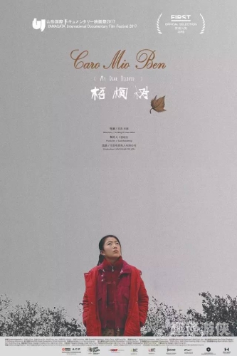 久久久理论三级电影，探索电影艺术的深度与广度