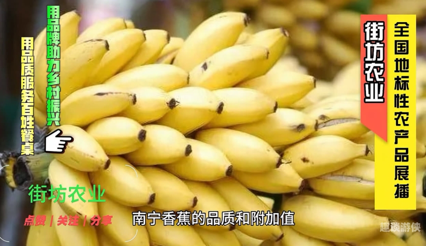 女人国产香樵精品，品质生活的独特选择