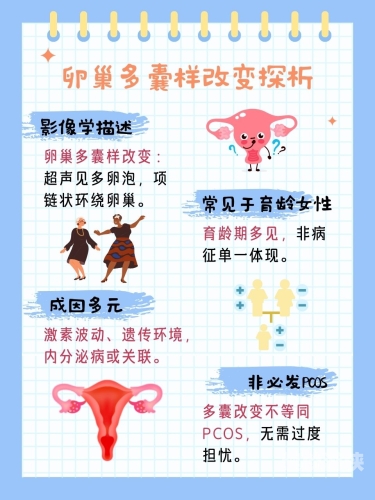 亚洲色性视频在线，探索多元文化下的性健康与视频新风尚