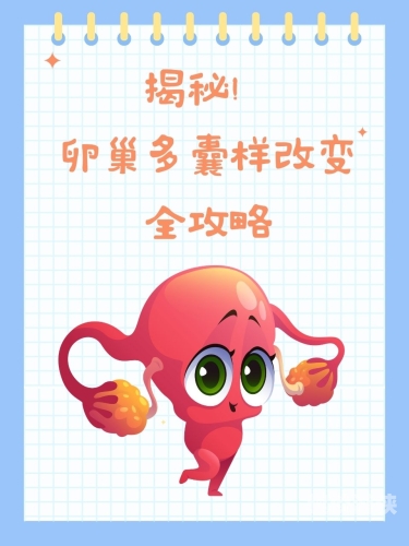 免费国产午夜自慰，探索健康与隐私的新边界
