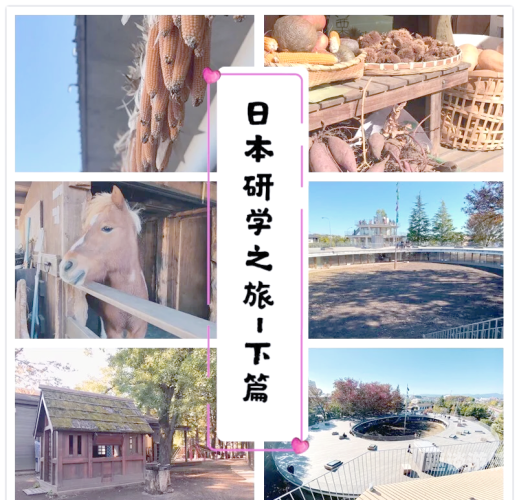 日本最新一区二区三区在线，探索日本社交新动态