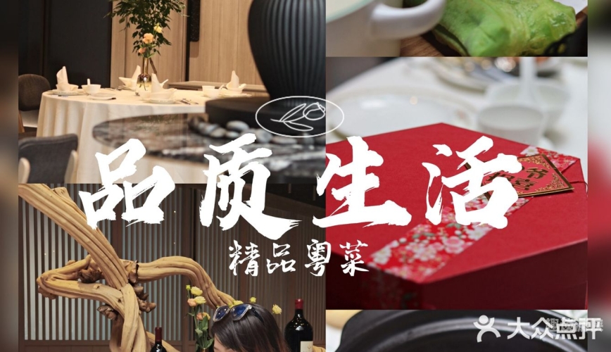 青青国产观91，科技引领未来，品质生活新选择青青产线