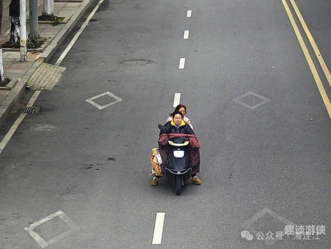 高清无码免费在线视频，探索视频新纪元