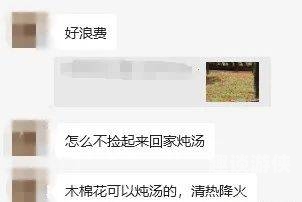国产乱子频出，精品新闻不容错过