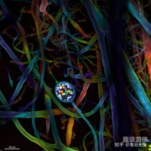 超清超热！久久超碰色，中文字幕带你领略鱼鱼世界