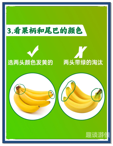 香蕉国产精品网站，探索中国香蕉产业的崛起之路香蕉视频进口