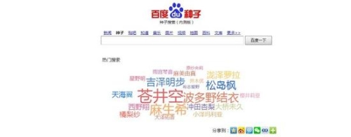 AV网站国产大全