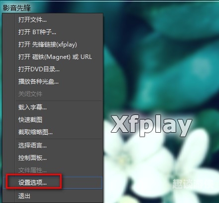 影音先锋，欧美性爱在线播放影音先锋在哪输入网址