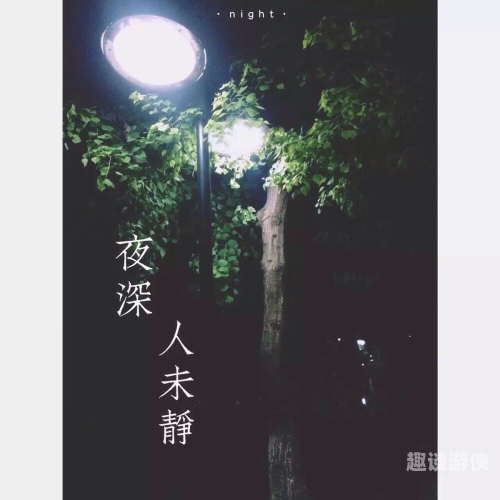 夜夜夜久久久综合视频，探索神秘视频世界夜夜夜夜