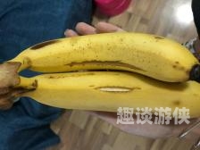 香蕉网伊在线，青青中文网揭秘