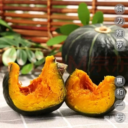 国产精品无码网站，引领行业新风尚