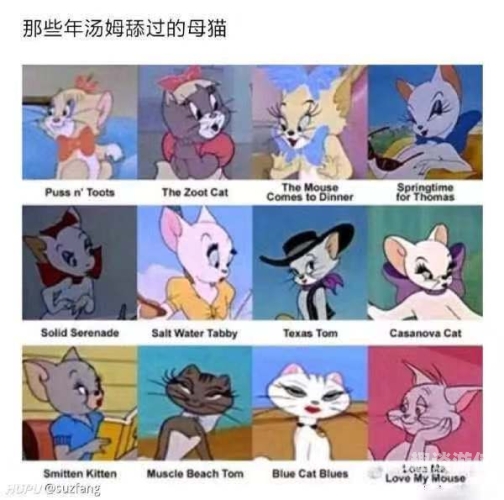 免费AV网站在线观看，探索网络视频的神秘世界汤姆影院tom最新地域网名怎么取