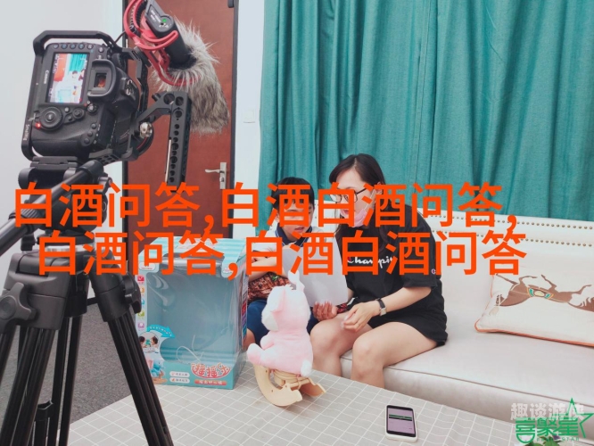 国产在线观看不卡天堂BT平台介绍
