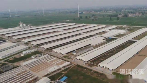 国产精品三级五区，引领市场新风尚