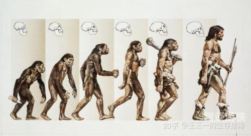 亚洲精品8MAV在线观看，探索数字时代的影视新纪元