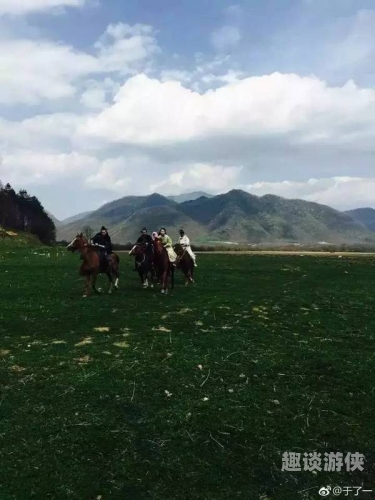 一区无码精品免费视频，新闻资讯网站角色设定