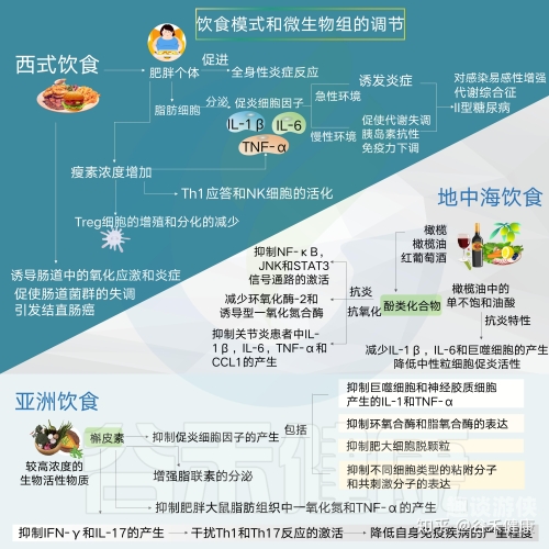 日本韩国新闻资讯，深度解读两国风土人情与经济发展