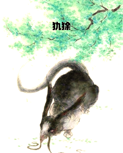 午夜福利，探索神秘视频世界中的神秘内容