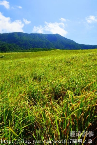 青青狠狠噜天天噜日日噜2021，新闻资讯解读