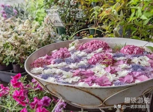 人摸人人澡超碰日本，探索日本文化中的社交现象